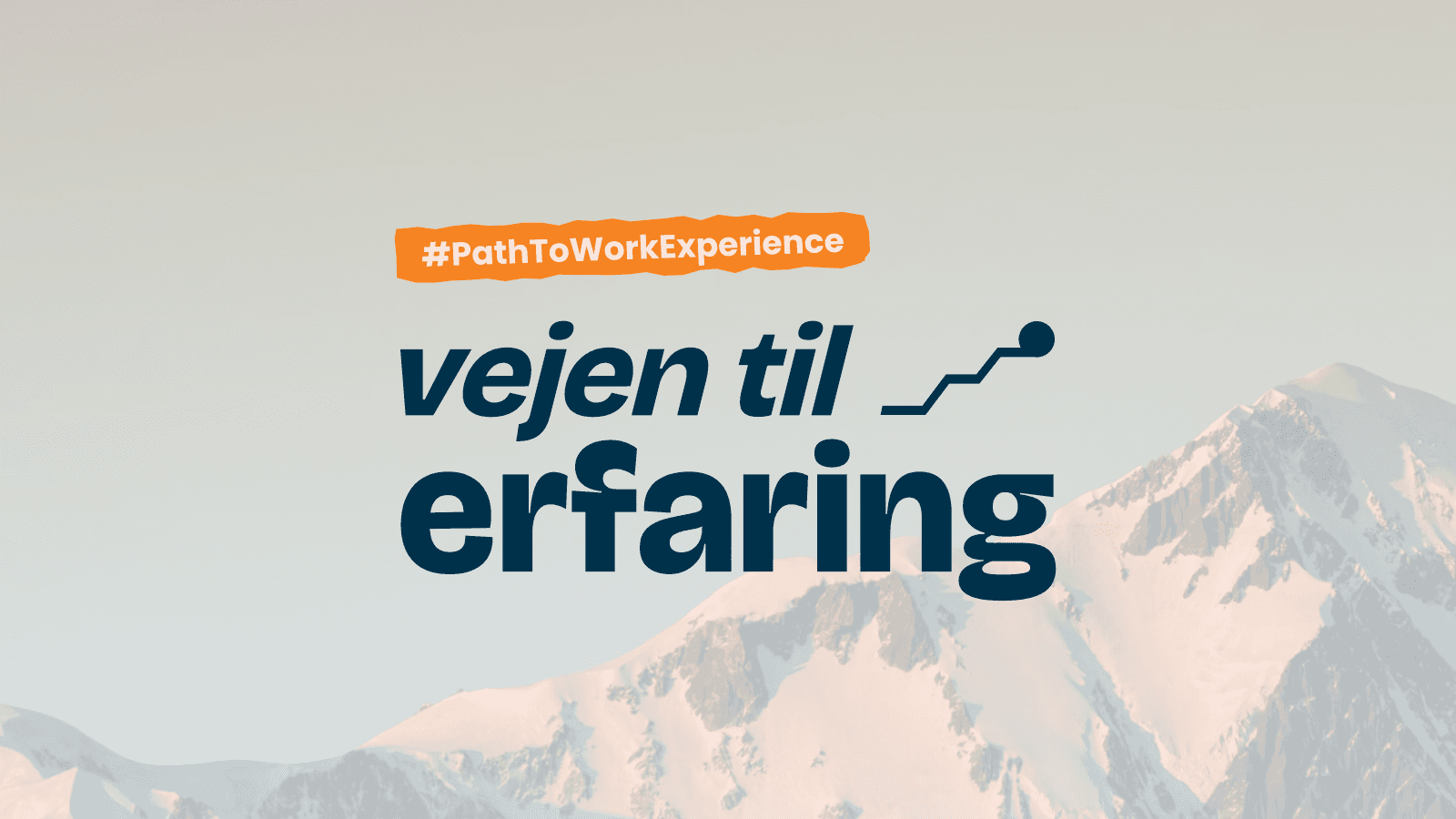 Vejen til Erfaring 3.0